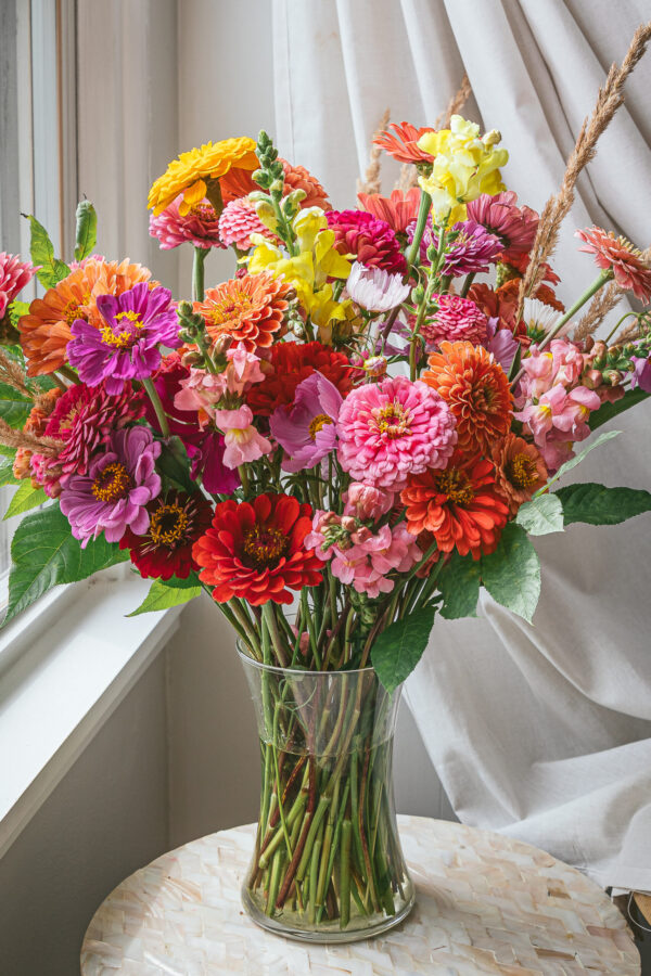 zinnias and snapdragons in a vase