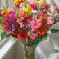 zinnias and snapdragons in a vase