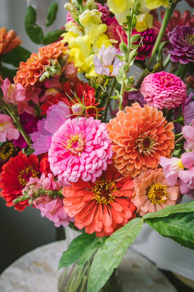 close up of pink and orange flowers