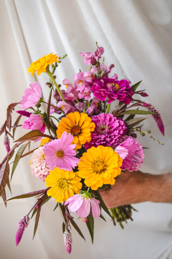 zinnias-picked-arrangement-flowers-new-3