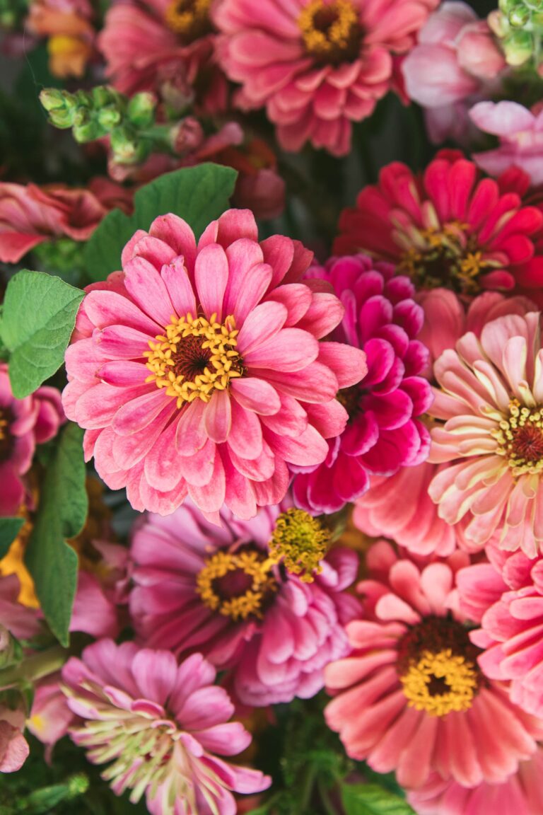 fresh flower arrangement close up