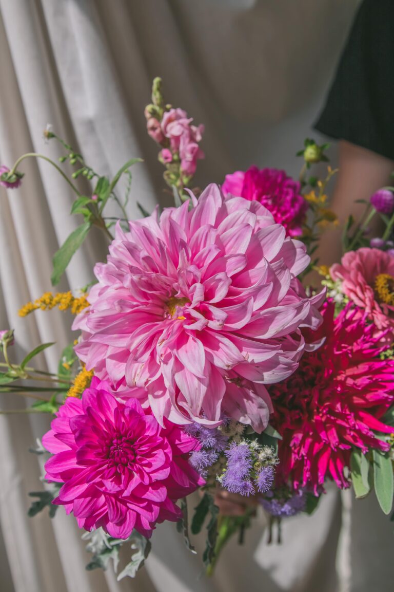 locally grown Pittsburgh dahlia arrangement