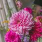 locally grown Pittsburgh dahlia arrangement