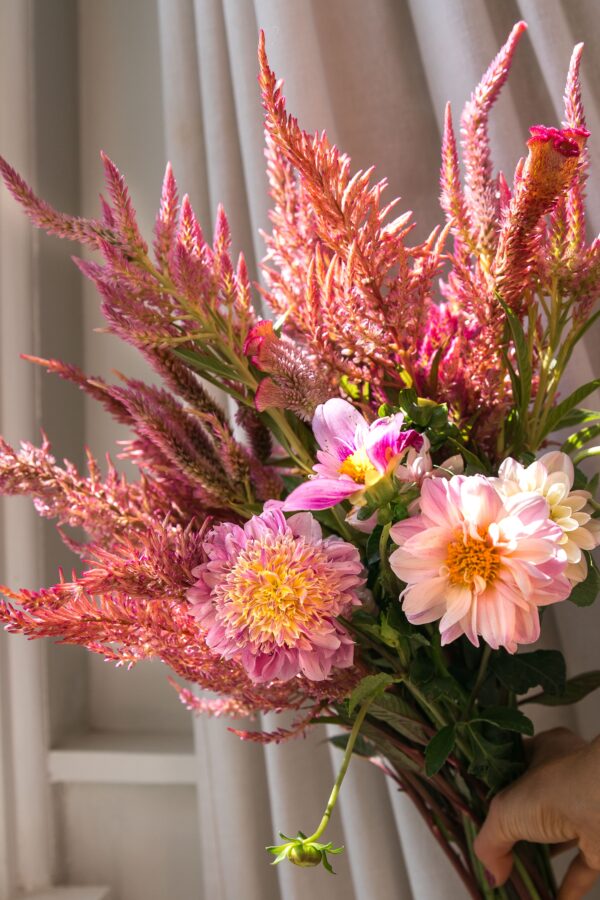 sol-patch-photo-session-4-min close up for floral subscription bouquet with local flowers