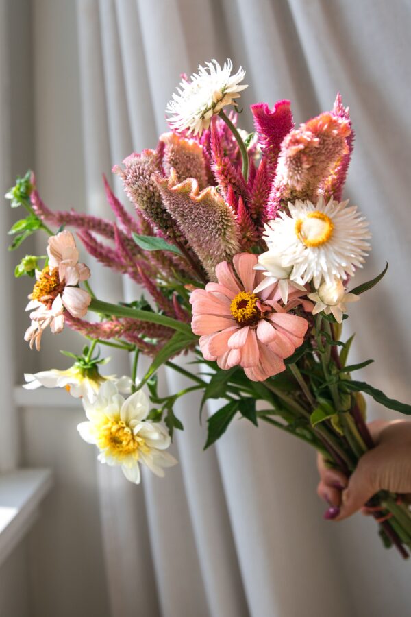 sol-patch-photo-session-5-min petite bouquet flower wrap