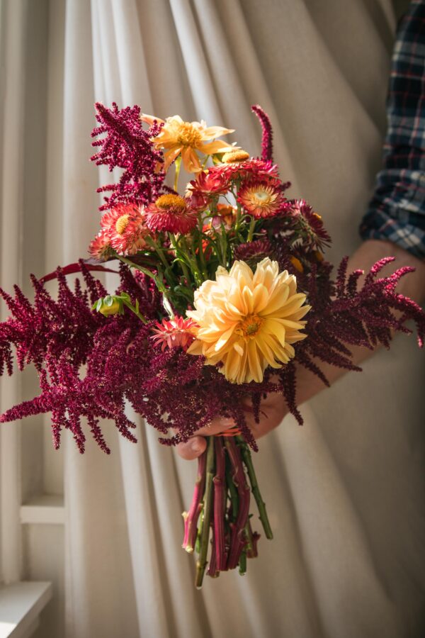 sol-patch-photo-session-9-min timeless bouquet flower wrap flower subscription