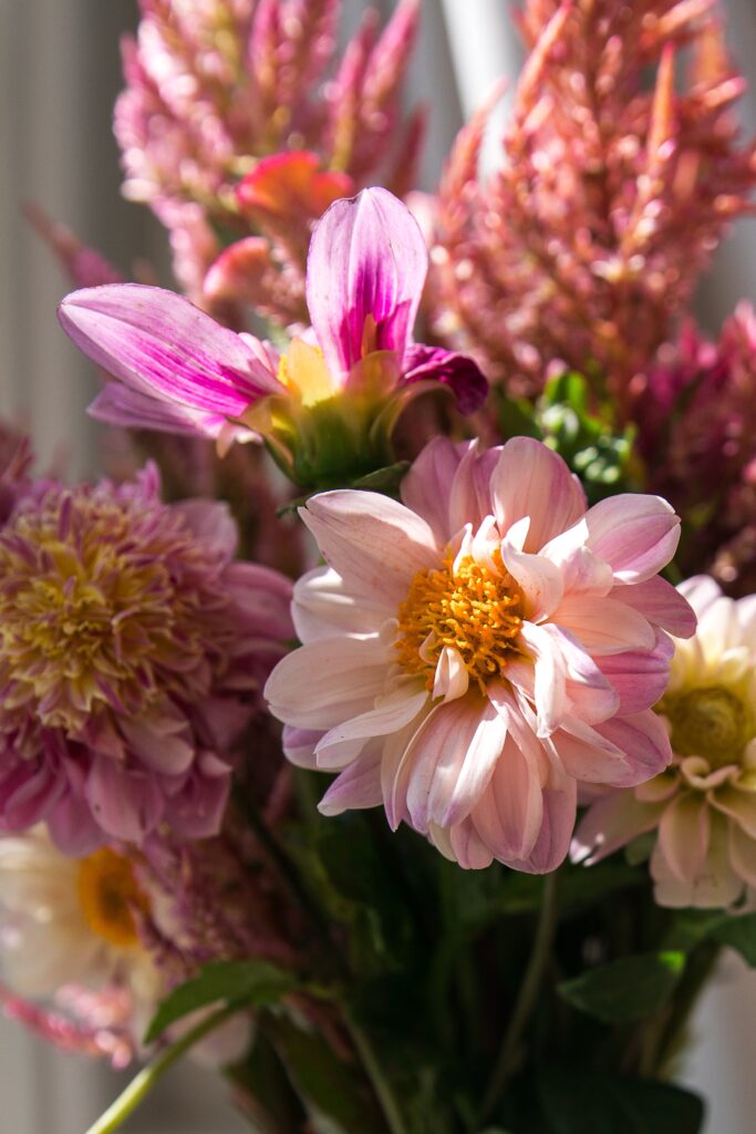 close up for floral subscription bouquet with local flowers