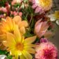 Pittsburgh flower subscription with local flowers